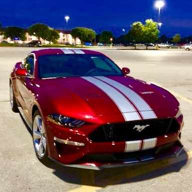 2005 - Up Mustang Shelby Style Rally Stripes 2005 - Up Mustang Shelby Style Rally Stripes