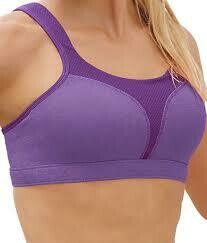 champion max support bra 1602