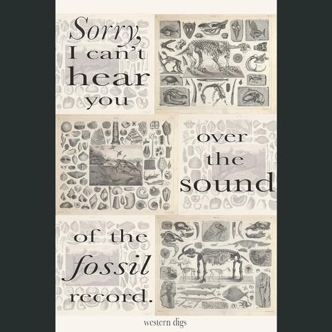 Sound of the Fossil Record Poster Sound of the Fossil Record Poster