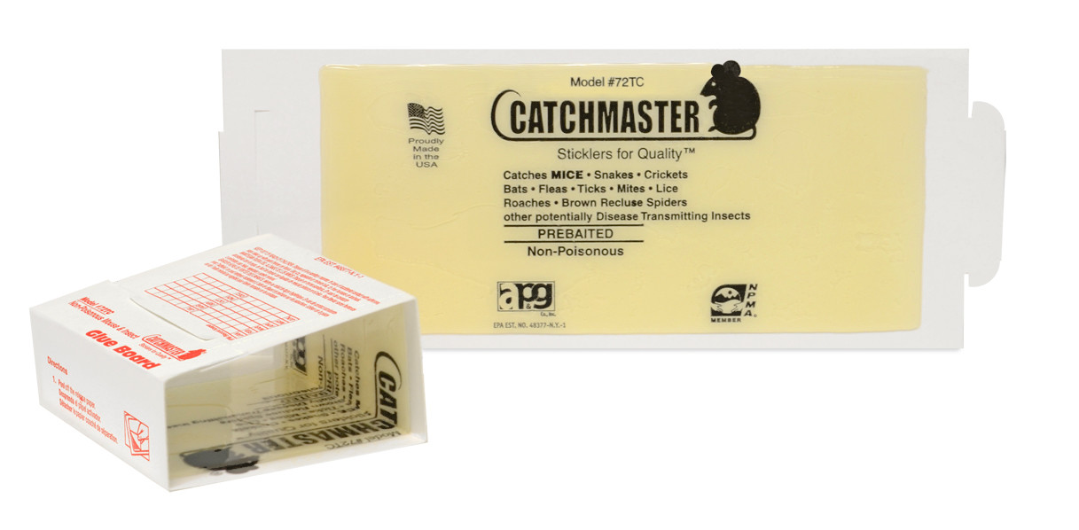 Mouse Glue Traps Mouse Glue Traps