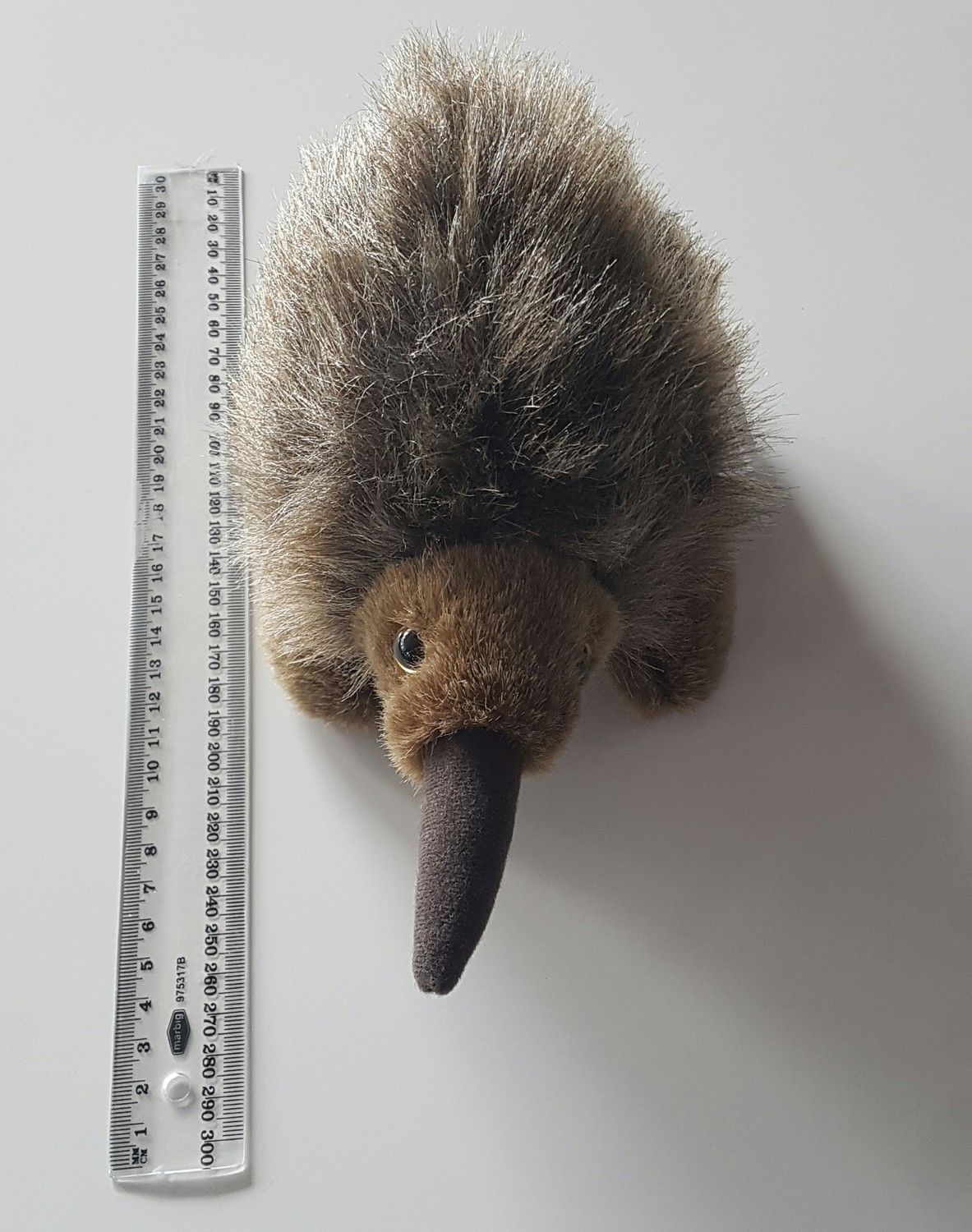 echidna soft toy