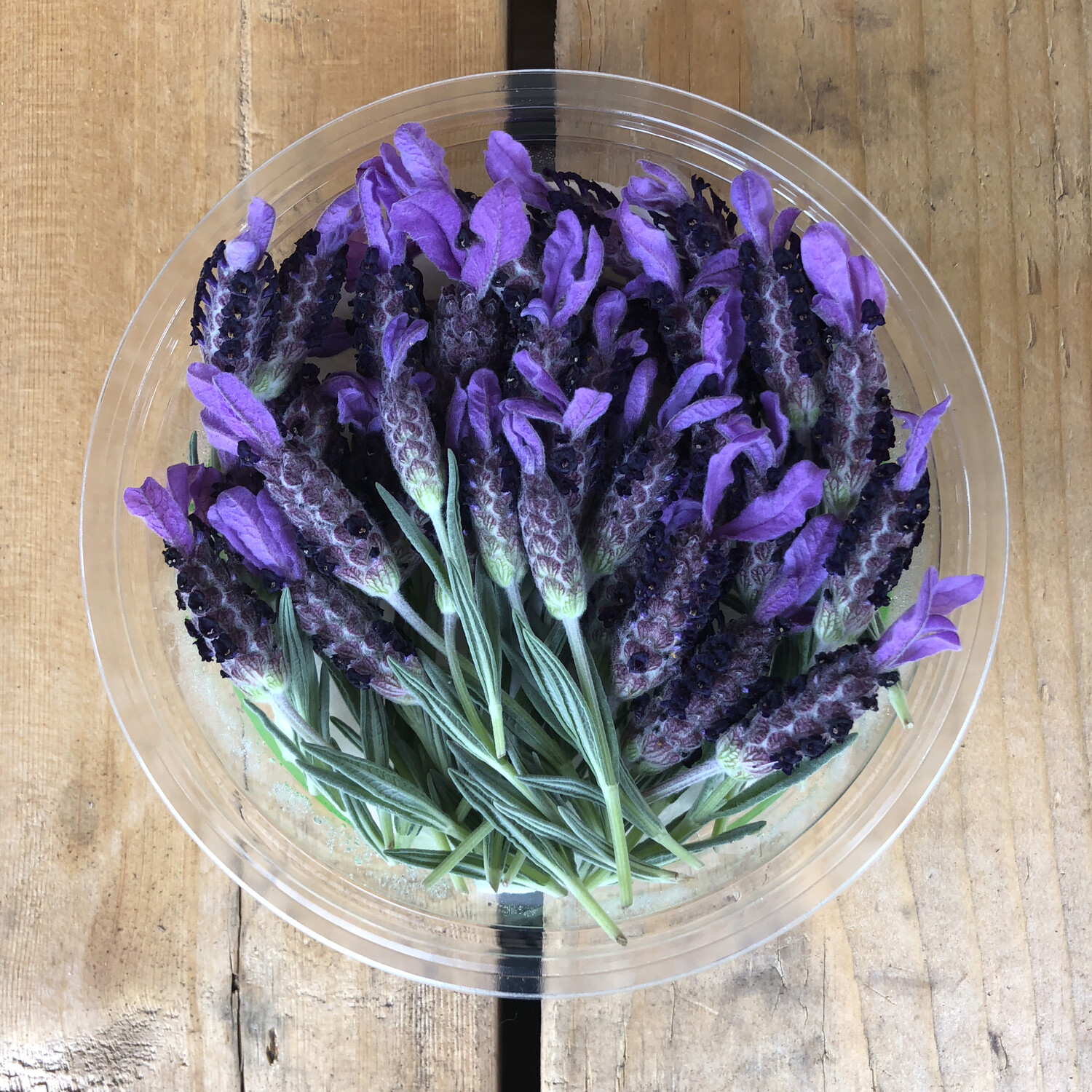 Lavender Edible flowers *2 Days notice required