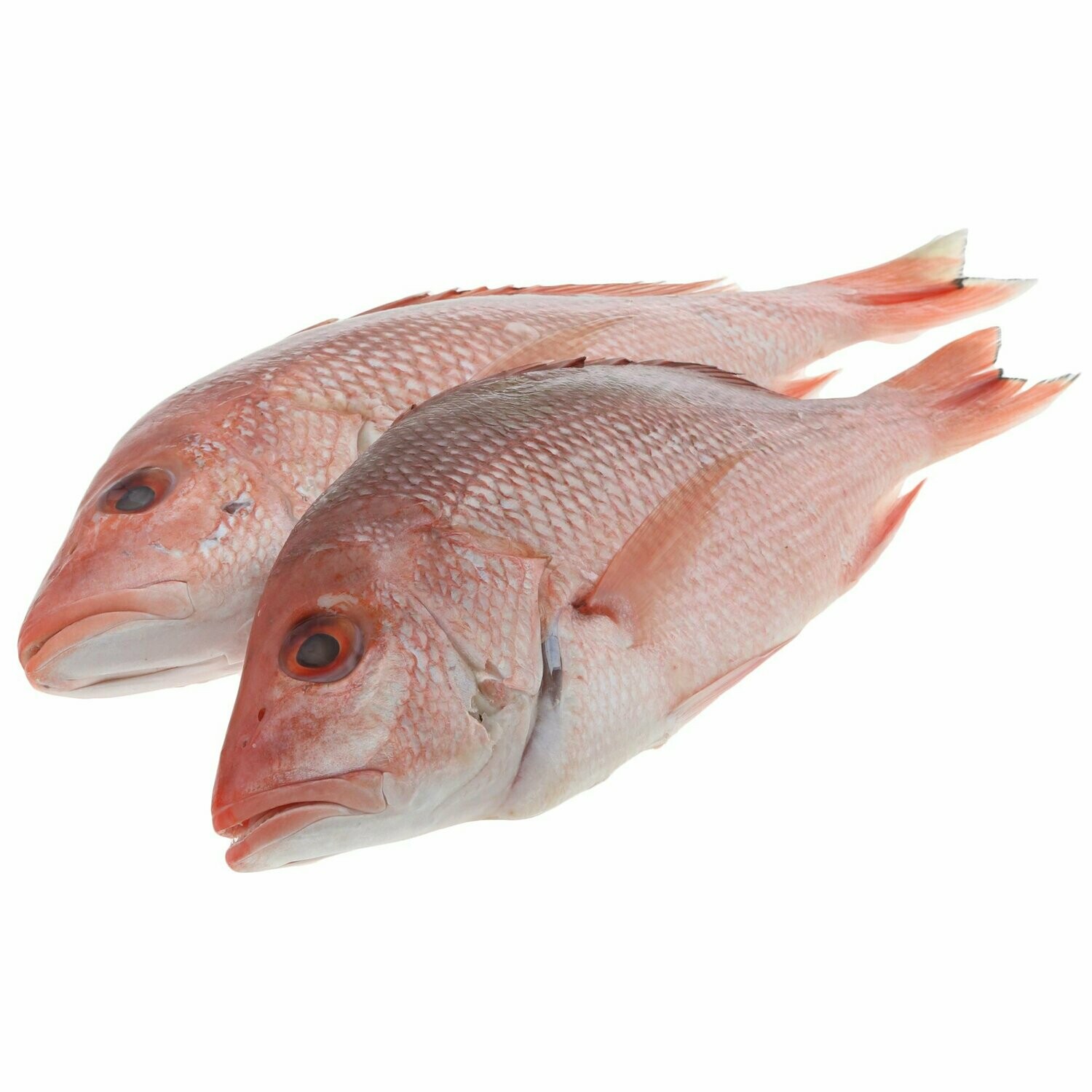 * Red Snapper 1 1/2 To 2 Lb Pcs 10 Pound Box