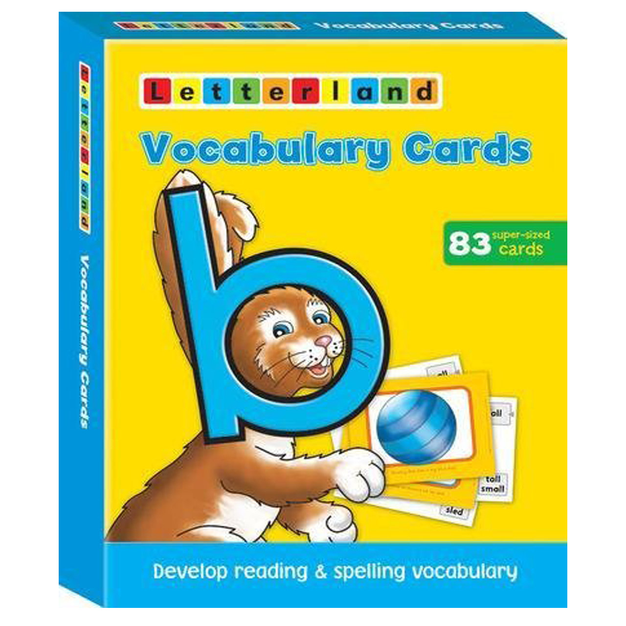 Vocabulary Cards Vocabulary Cards