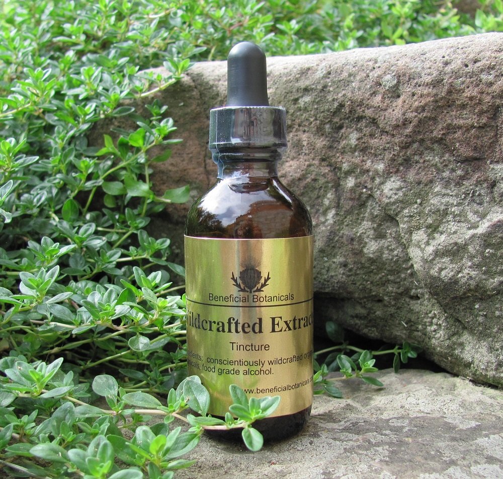 Linden Tincture Linden Tincture