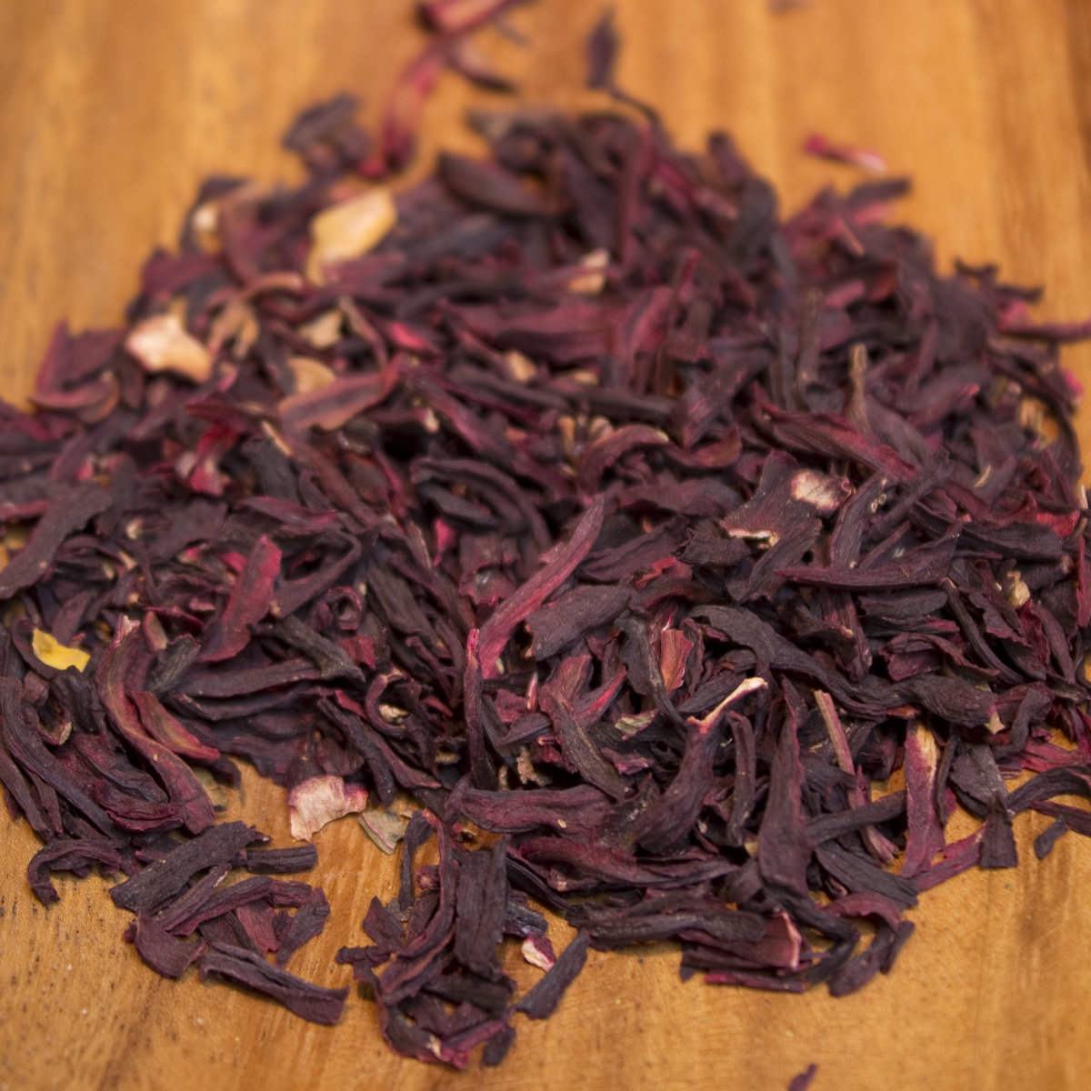Hibiscus Hibiscus