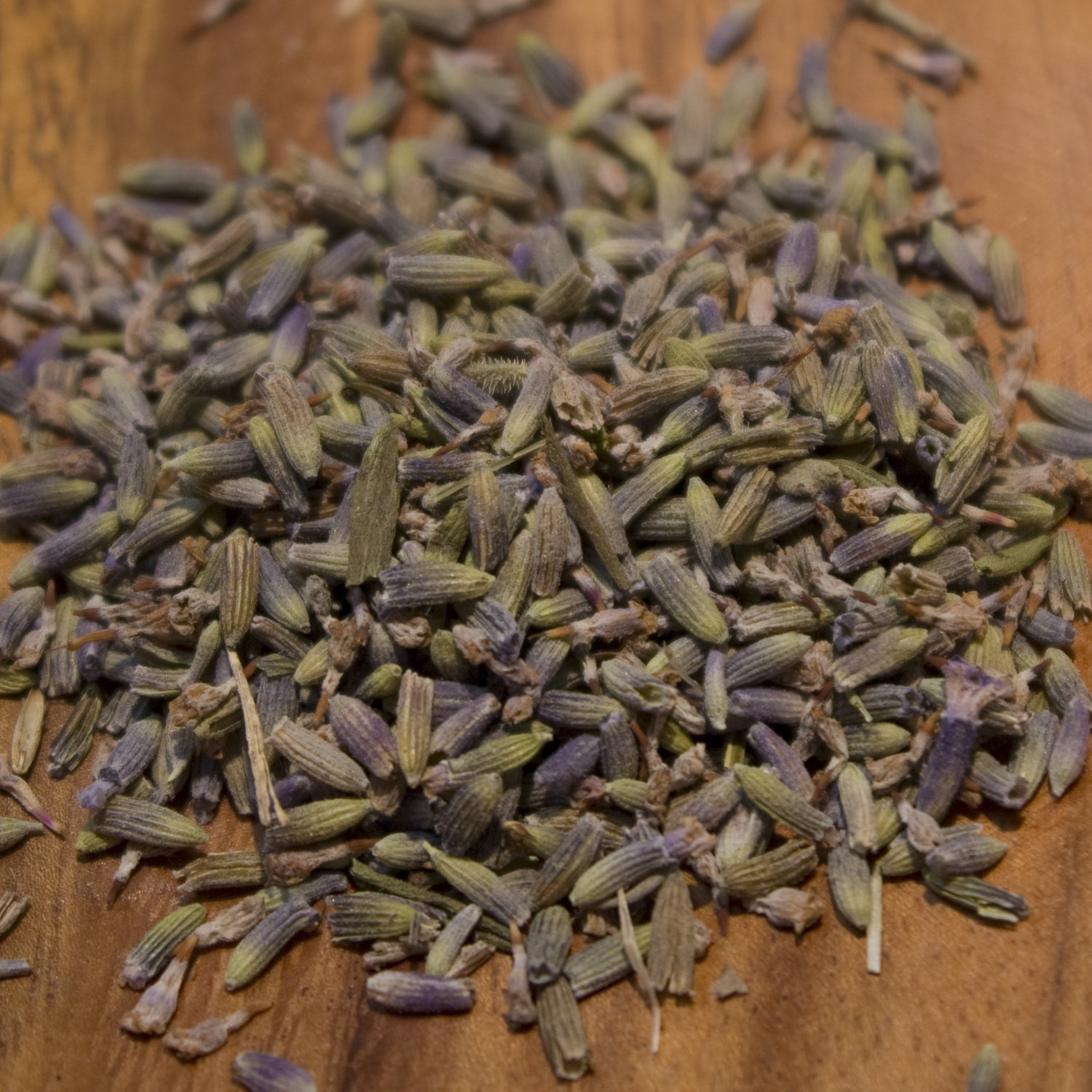 Lavender Lavender