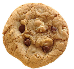 Bumzy's Classic Chocolate Chip with Walnuts Bumzy's Classic Chocolate Chip with Walnuts