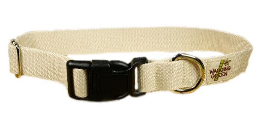 Eco Friendly Bamboo Single Layer Dog Collar - Natural (undyed) (1 Eco Friendly Bamboo Single Layer Dog Collar - Natural (undyed) (1