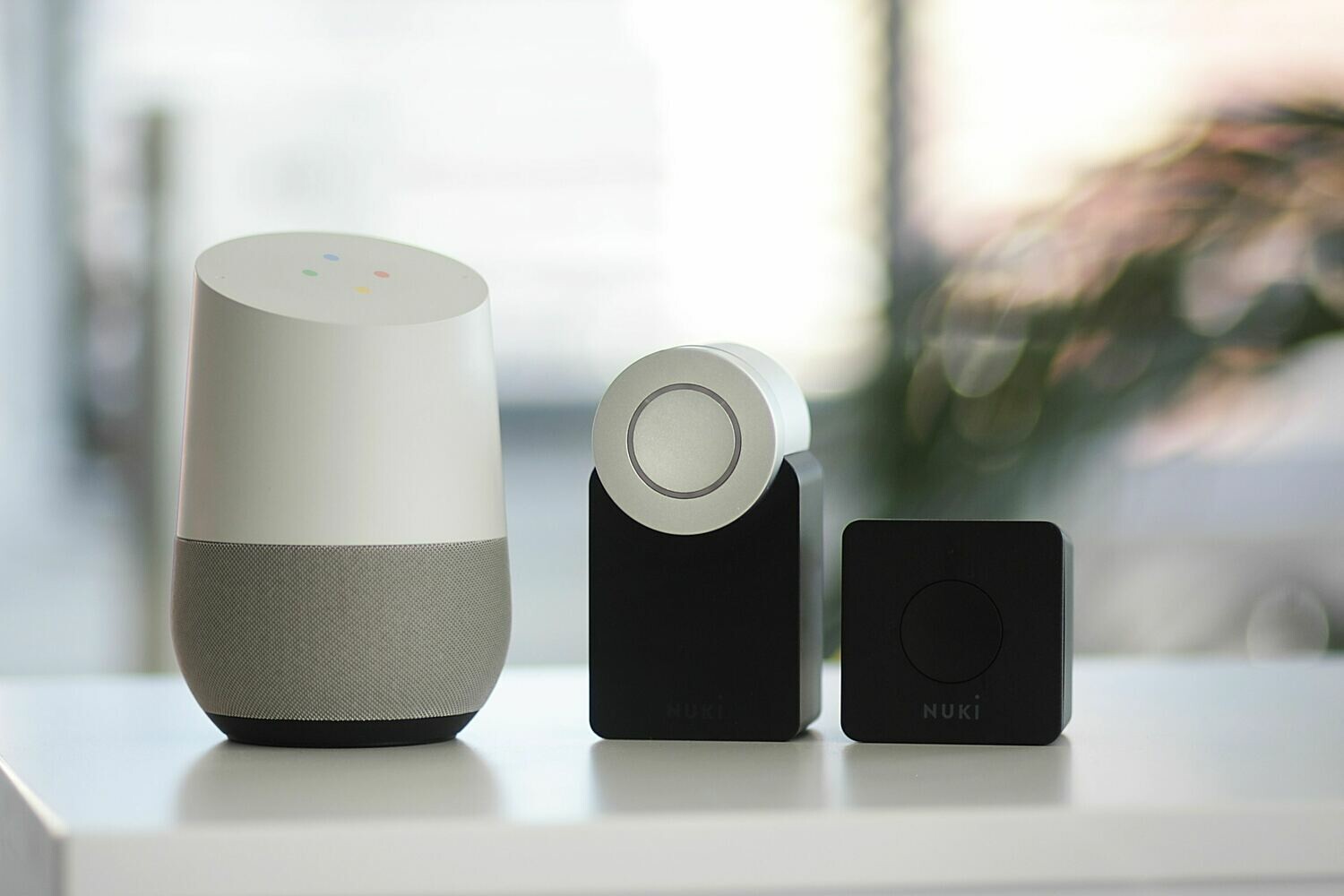 Voice Assistant Installation Voice Assistant Installation
