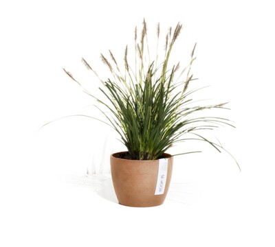 ECOPOTS Stockholm small flower and herb pot Terracotta ECOPOTS Stockholm small flower and herb pot Terracotta