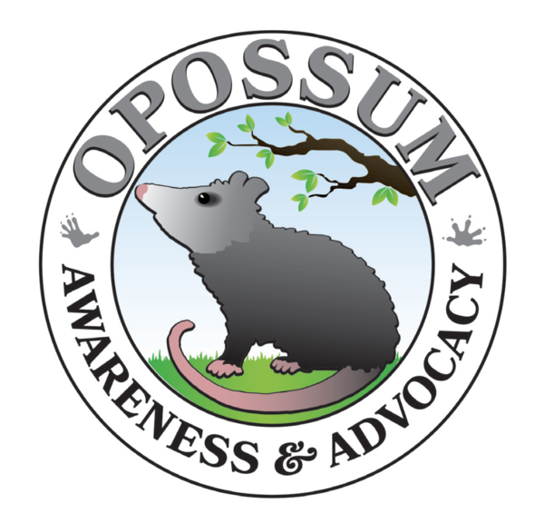 Opossum Awareness and Advocacy Shop