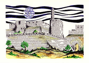 Citadel MicroCalligraphy Citadel MicroCalligraphy