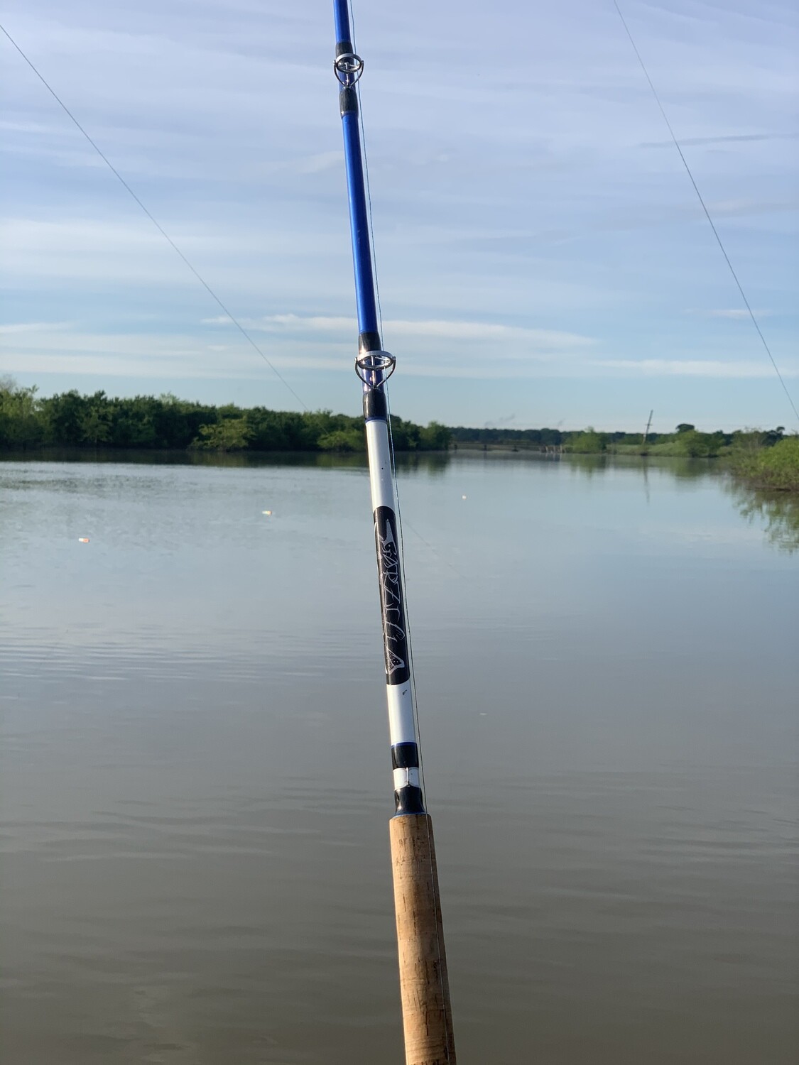 Spinning GFG 7.6 MH Gar/Catfish Rod