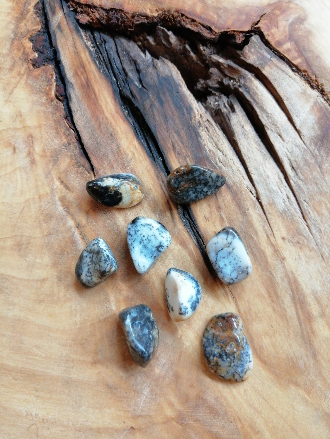 Agate dendritique roulée Agate dendritique roulée