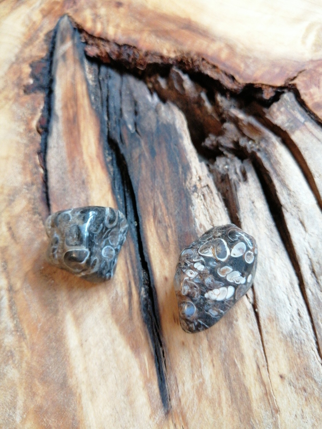 Agate turitelle roulée grande Agate turitelle roulée grande