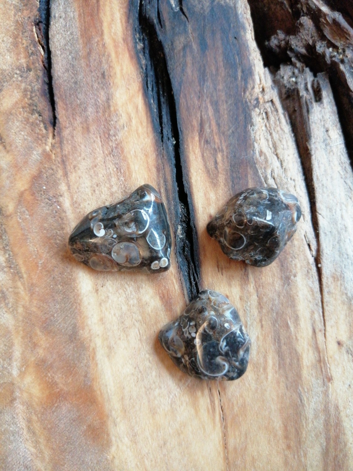 Agate turitelle roulée petite Agate turitelle roulée petite