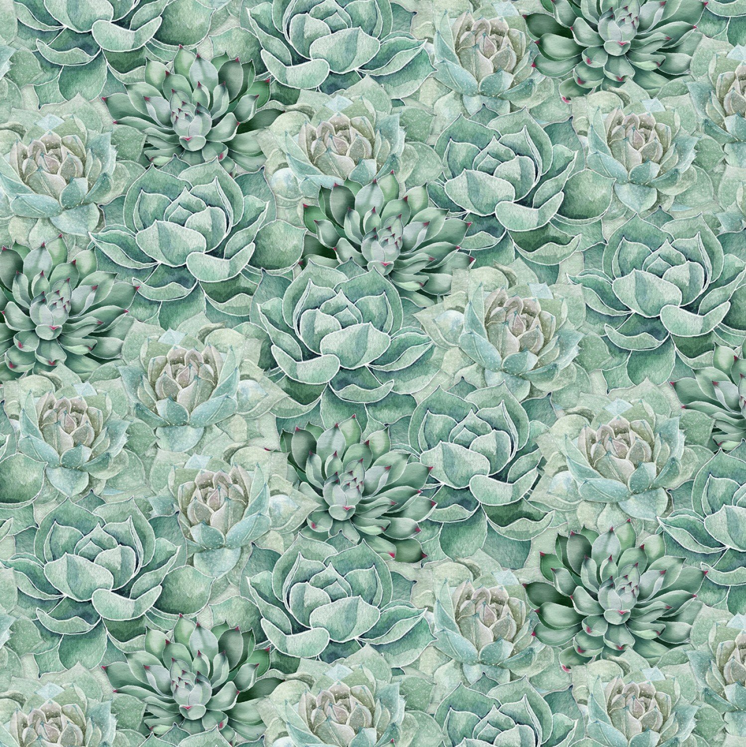 Green Succulents- Botanical Oasis by Wilmington Fabrics - 1/2m cut L653GX4Q