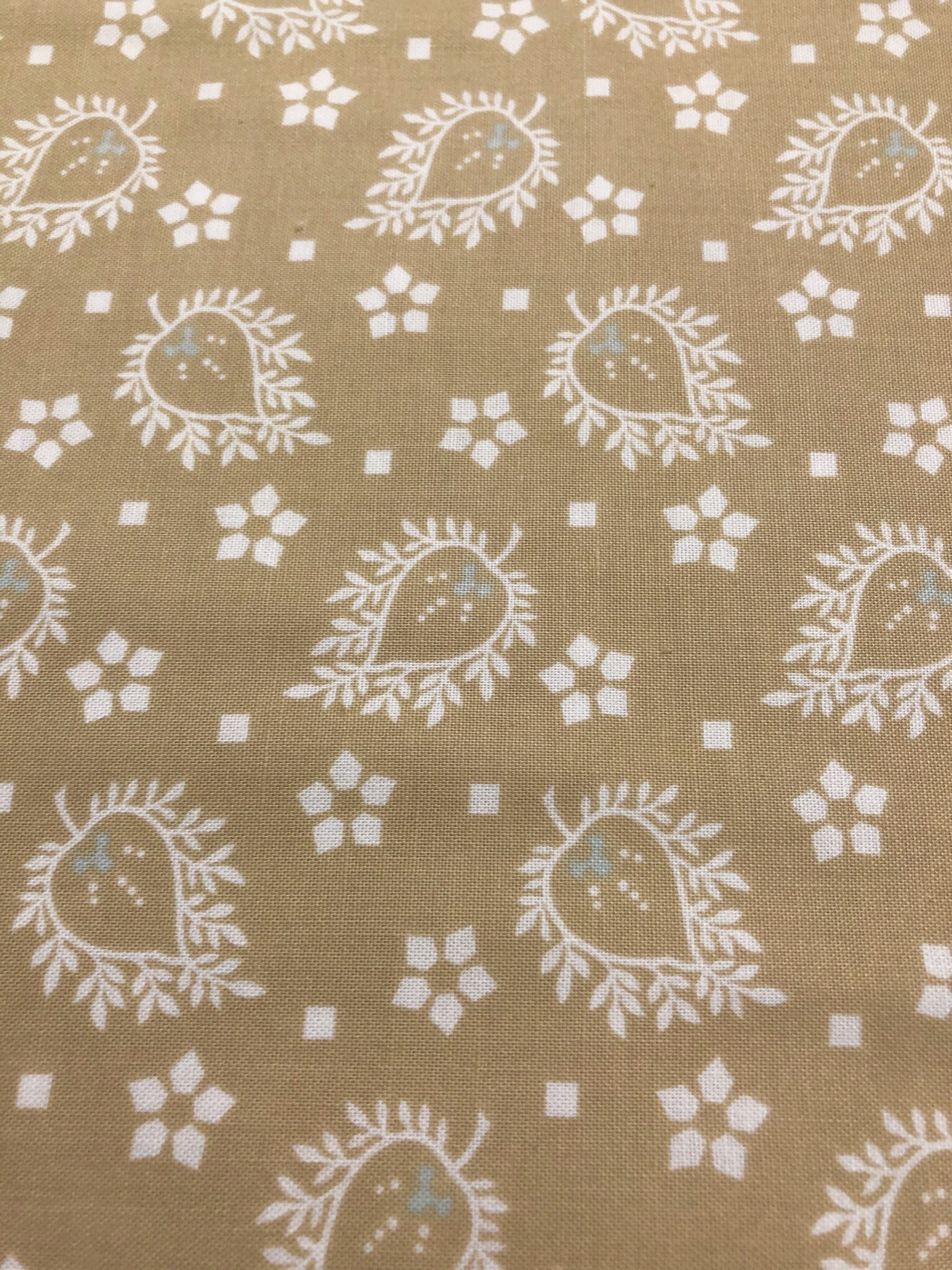 Brown/white Designs - 1/2m Cut 55609