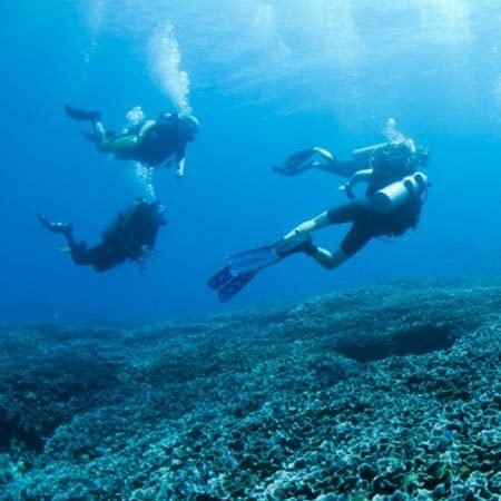 2 Dives 2 Dives