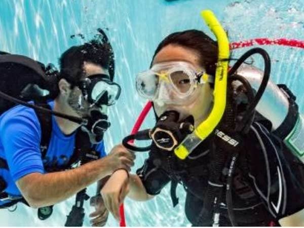 Padi Seal Team Padi Seal Team