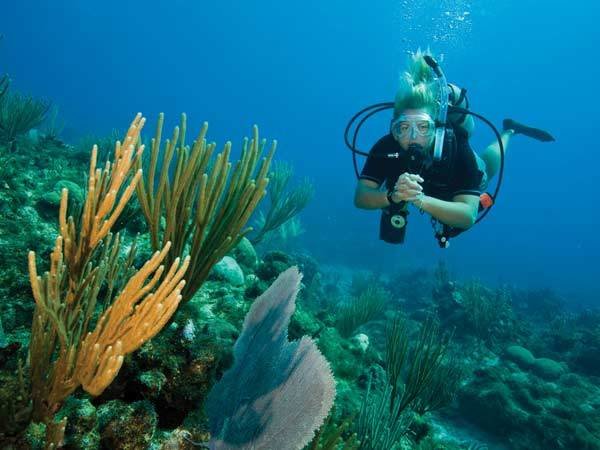 Beach Dive Beach Dive