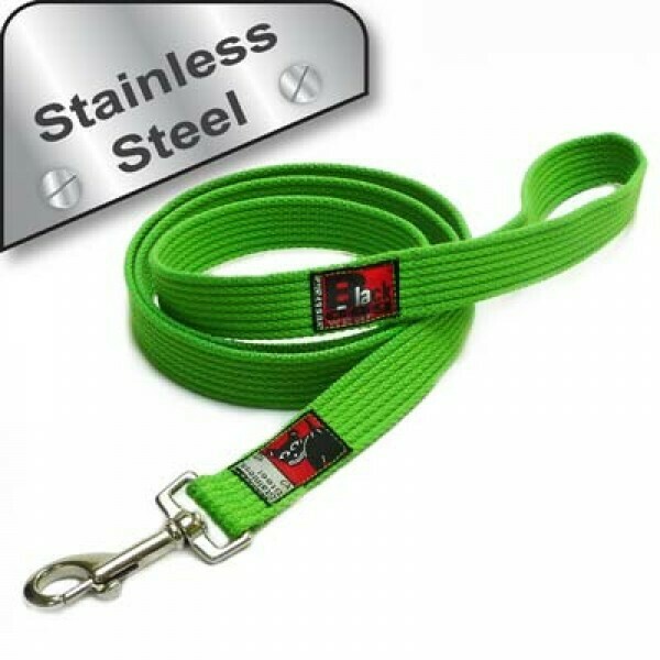 Black Dog Strong Lead Black Dog Strong Lead