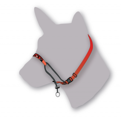 Black Dog Wear Training Halter Black Dog Wear Training Halter