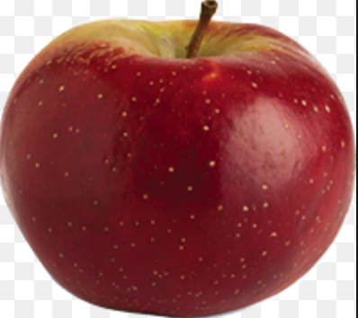 Baldwin - bare rooted 1
