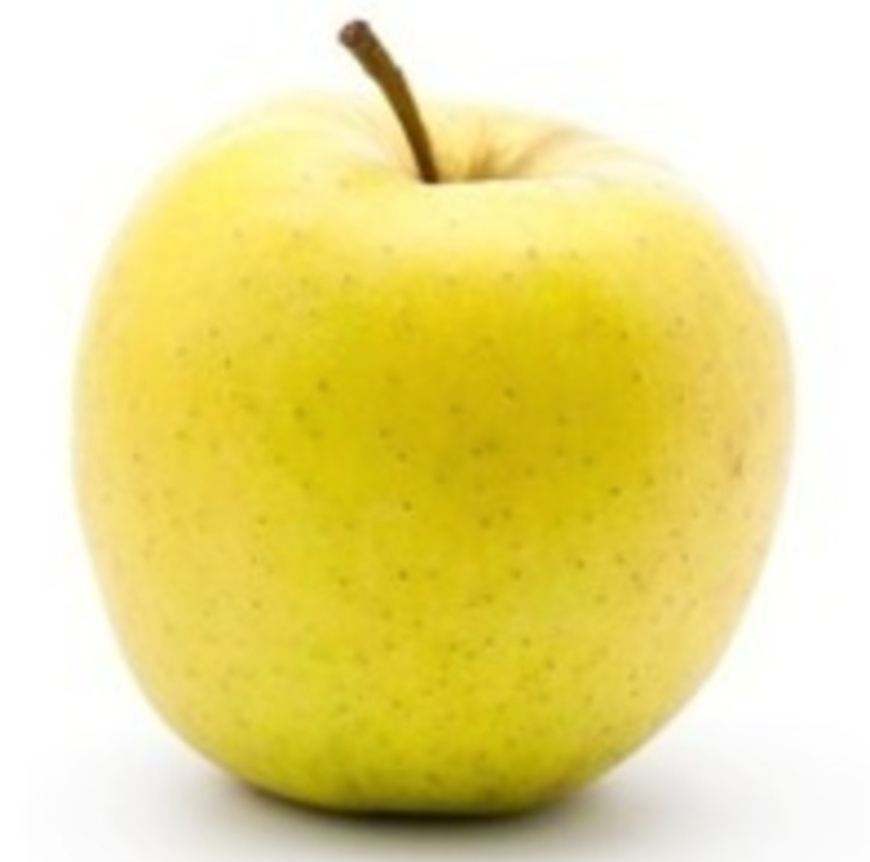 Golden Delicious - bare rooted 32