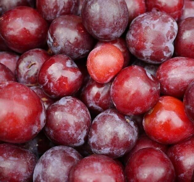 Red plums (1kg) برقوق أحمر Red plums (1kg) برقوق أحمر