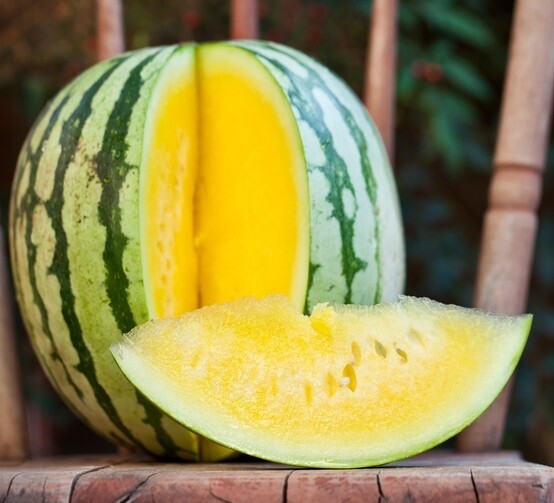 Yellow seedless watermelon بطيخ أصفر بدون بذور Yellow seedless watermelon بطيخ أصفر بدون بذور