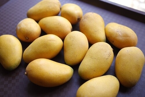 Fass mango (1 kg) مانجو فص Fass mango (1 kg) مانجو فص