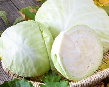 White Cabbage (per head) (كرنب ابيض سلطة (راس White Cabbage (per head) (كرنب ابيض سلطة (راس