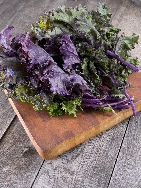 Red curly kale (100gm) كيل كيرلي احمر Red curly kale (100gm) كيل كيرلي احمر