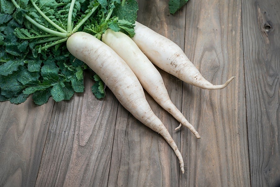 White radishes (1kg) فجل ابيض White radishes (1kg) فجل ابيض