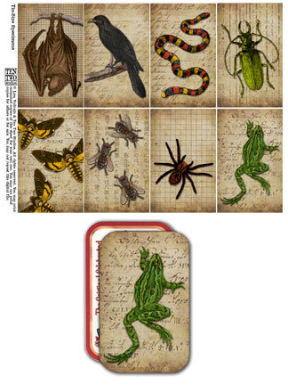 Tin-Sized Specimens Tin-Sized Specimens