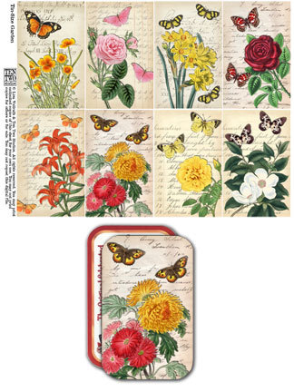 Tin-Sized Garden Tin-Sized Garden