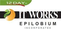 Epilobium
