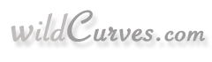 Wild Curves