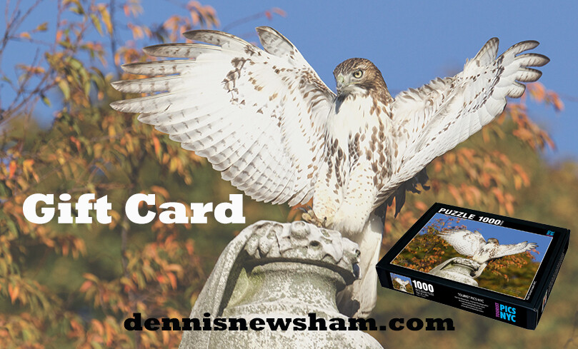 Gift card Gift card