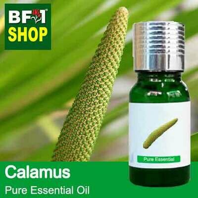 Pure Essential Oil (EO) - Calamus Essential Oil - 10ml Pure Essential Oil (EO) - Calamus Essential Oil - 10ml