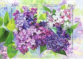 РФ. Флора России. Сирень. Сцепка из 4 самоклеющихся марок РФ. Флора России. Сирень. Сцепка из 4 самоклеющихся марок