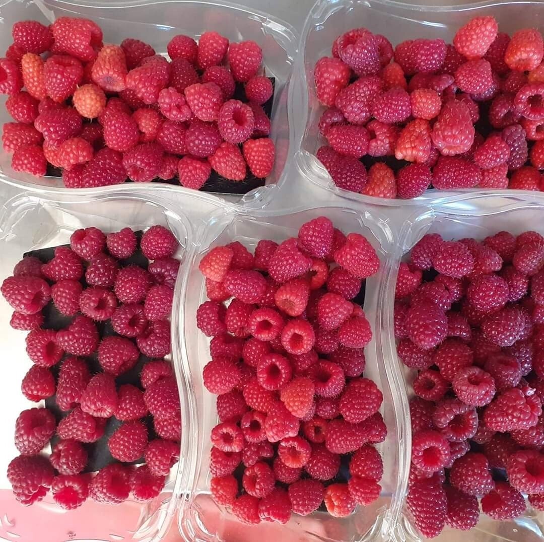 Framboises Framboises