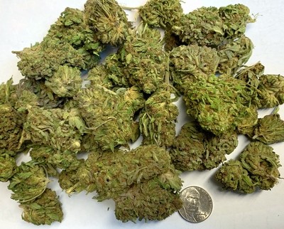 Sour Space Candy- Low-Temp Dried (lb) Sour Space Candy- Low-Temp Dried (lb)