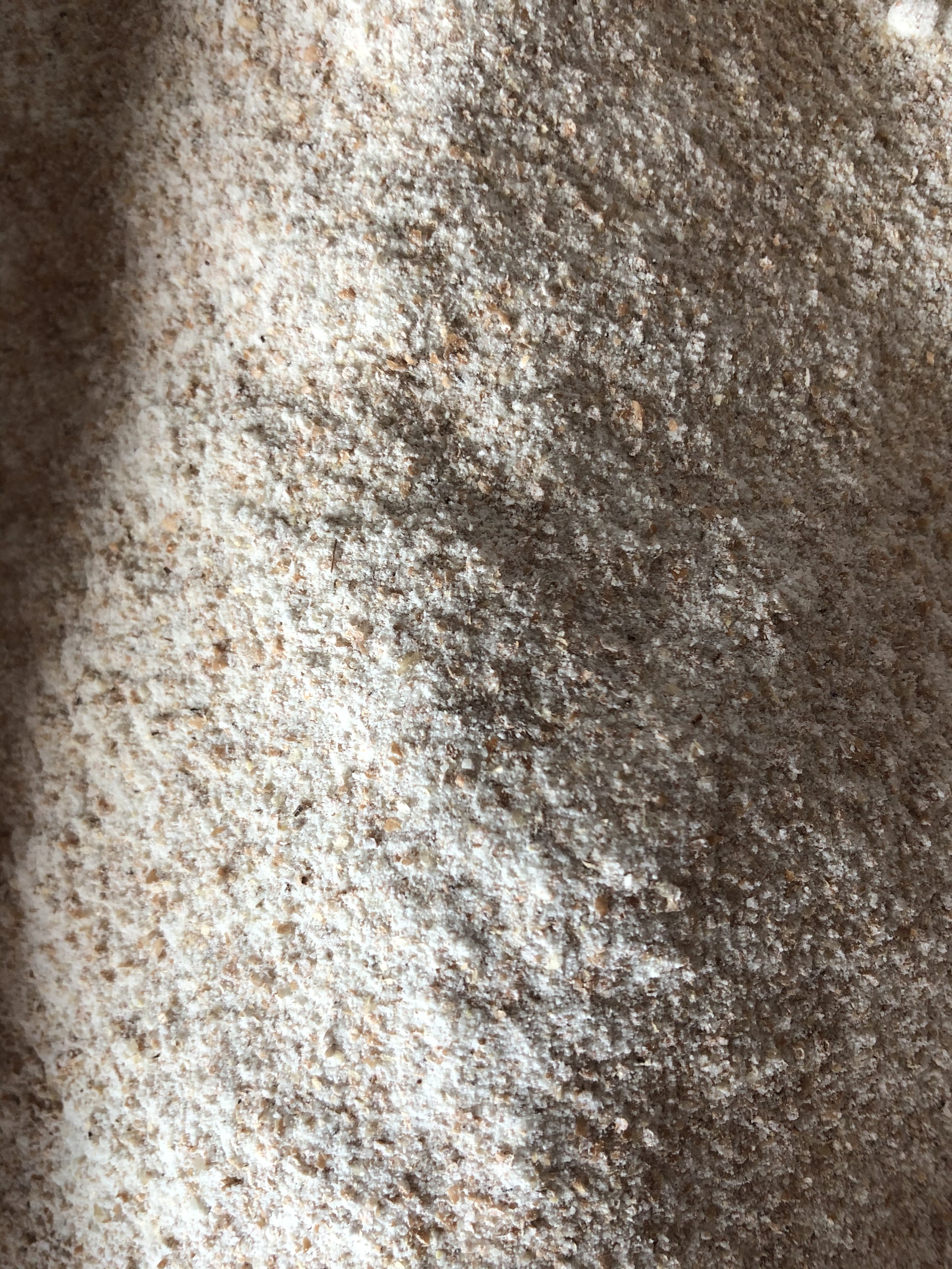 Farina integrale BIO di grano tenero