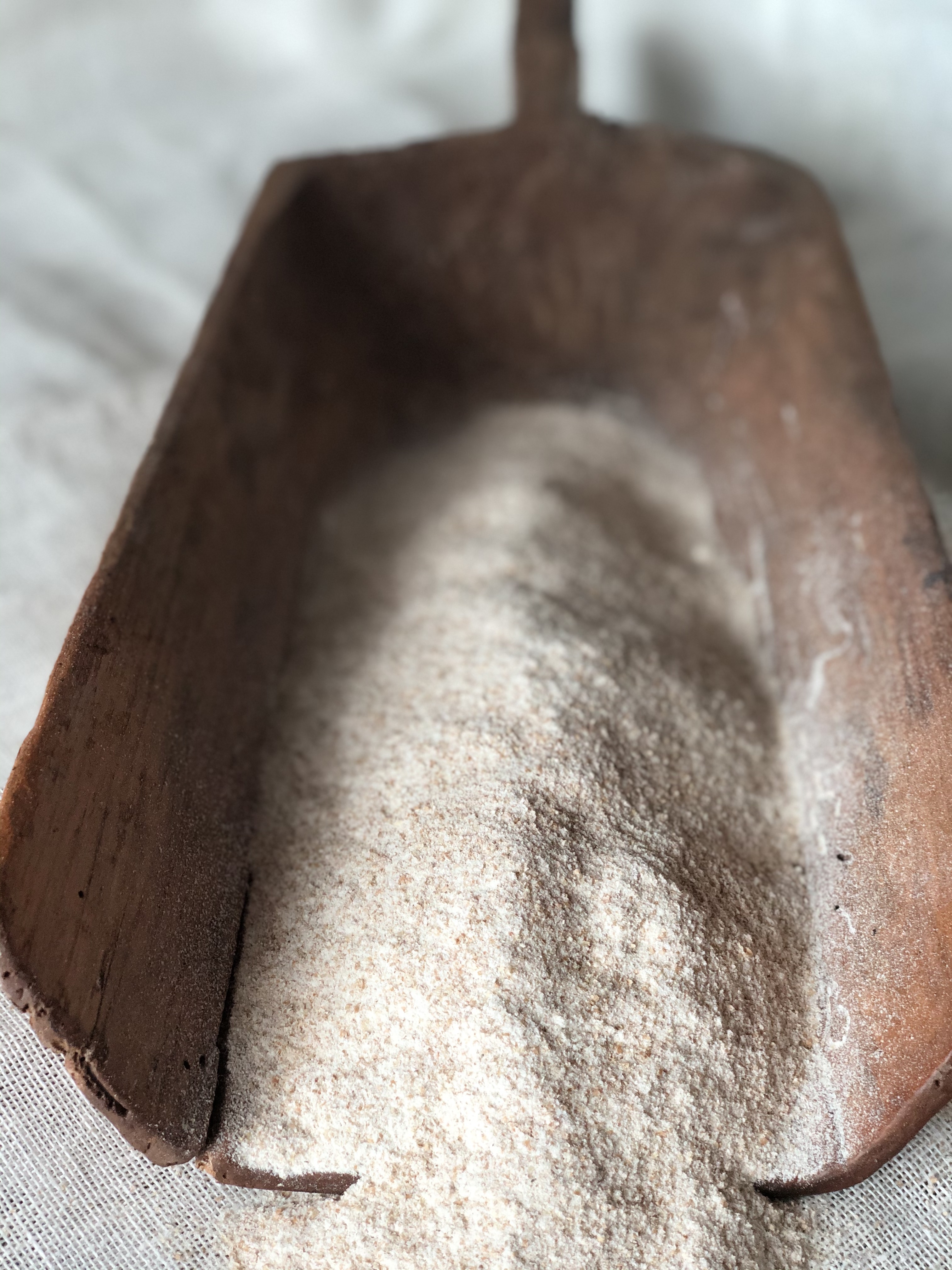 Farina integrale BIO di grano tenero