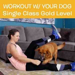 Item 02. Online Workout With Your Dog Single Class Gold Level Item 02. Online Workout With Your Dog Single Class Gold Level