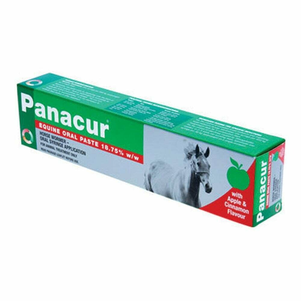 Panacur Equine Paste