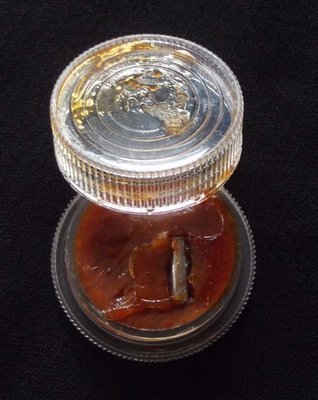 See Pheung Sariga Long Rang 'Run Sorng' (2nd edition) - Celestial Magpie Metta Balm with Takrut for Good Oratory Skills, Business and Social Success - Luang Phu Ta Analayo - Wat Pha Dong Kam Chee See Pheung Sariga Long Rang 'Run Sorng' (2nd edition) - Celestial Magpie Metta Balm with Takrut for Good Oratory Skills, Business and Social Success - Luang Phu Ta Analayo - Wat Pha Dong Kam Chee